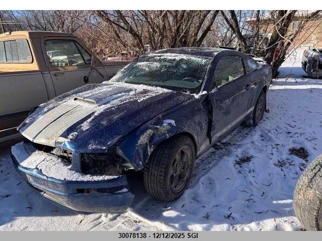2006 Ford Mustang VIN: 1ZVFT80N465151752 Lot: 30078138