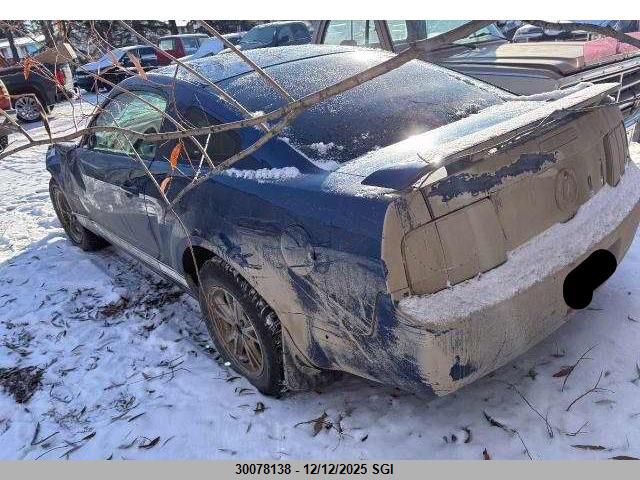 2006 Ford Mustang VIN: 1ZVFT80N465151752 Lot: 30078138