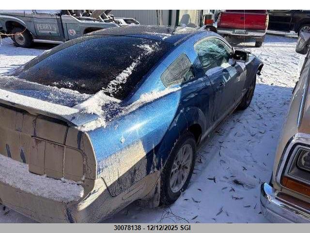 2006 Ford Mustang VIN: 1ZVFT80N465151752 Lot: 30078138