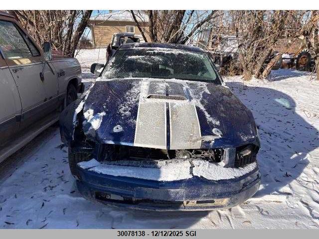 2006 Ford Mustang VIN: 1ZVFT80N465151752 Lot: 30078138