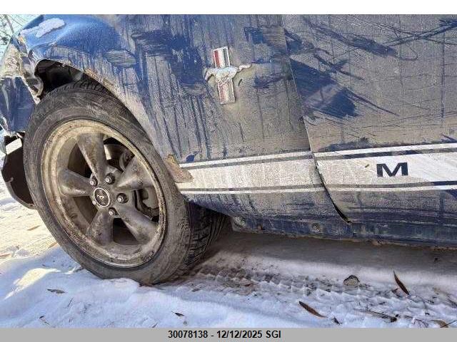 2006 Ford Mustang VIN: 1ZVFT80N465151752 Lot: 30078138