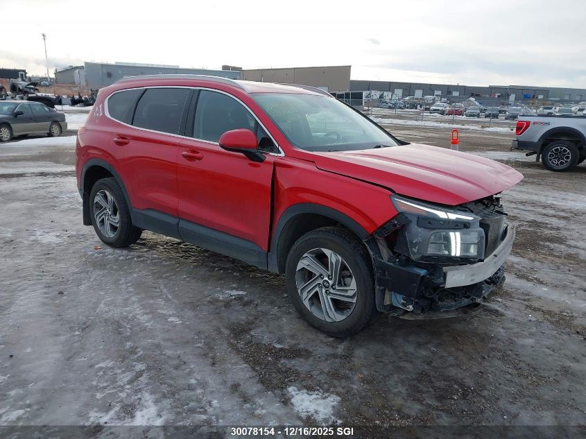 2021 Hyundai Santa Fe Sel VIN: 5NMS2DAJ0MH322631 Lot: 30078154