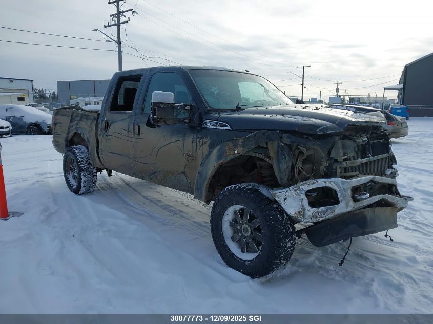 2014 Ford F350 Super Duty VIN: 1FT8W3BT2EEA63329 Lot: 30077773
