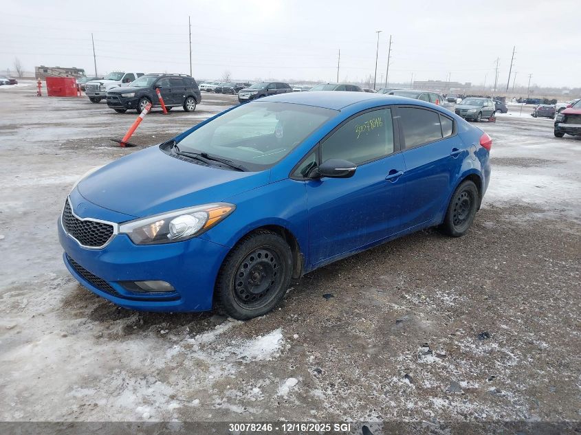 2014 Kia Forte Lx VIN: KNAFX4A64E5142956 Lot: 30078246