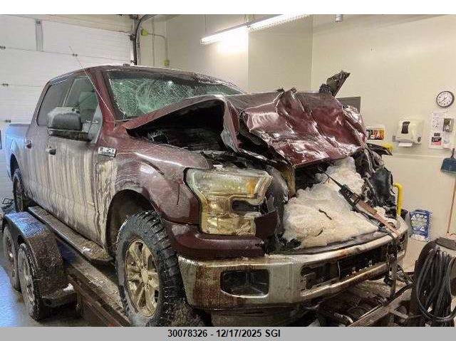 1FTEW1EPXGFB15423 2016 Ford F150 Supercrew auction photo 1