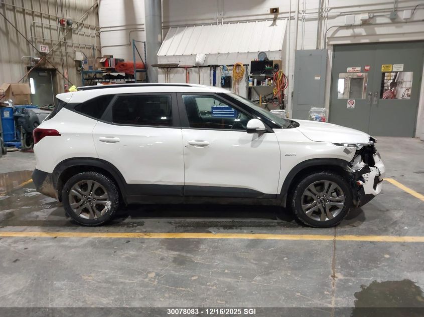 2023 Kia Seltos Lx VIN: KNDEPCAA2P7462135 Lot: 30078083