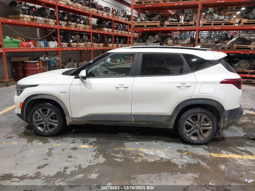 2023 Kia Seltos Lx VIN: KNDEPCAA2P7462135 Lot: 30078083