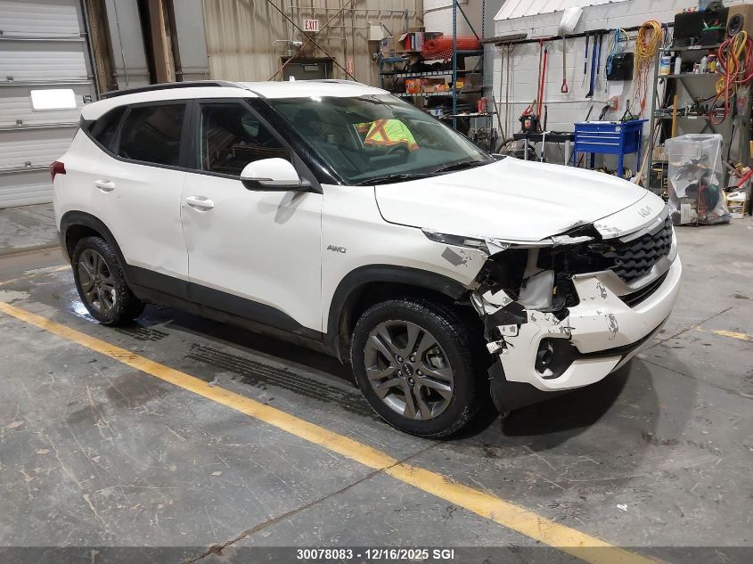 2023 Kia Seltos Lx VIN: KNDEPCAA2P7462135 Lot: 30078083