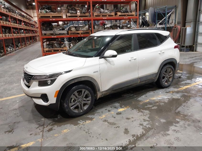 2023 Kia Seltos Lx VIN: KNDEPCAA2P7462135 Lot: 30078083