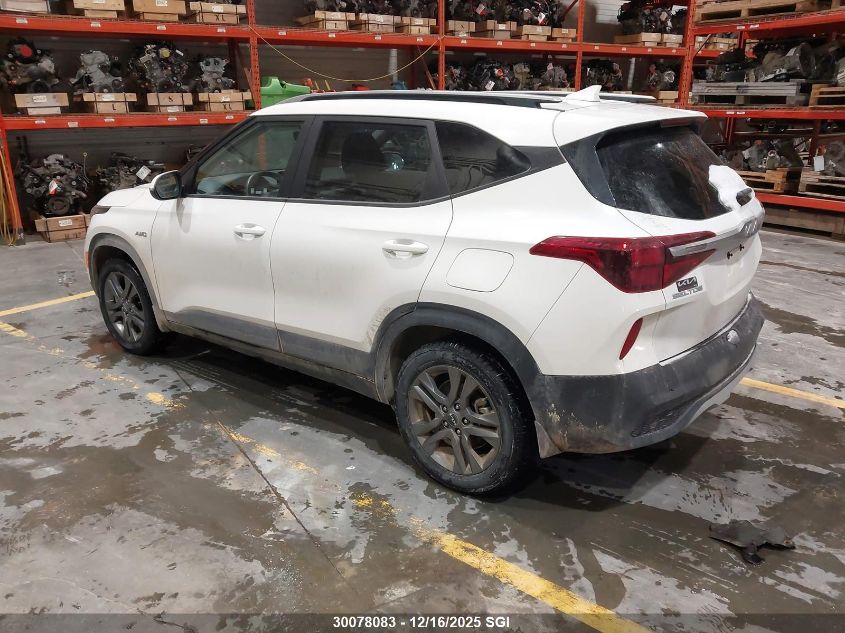 2023 Kia Seltos Lx VIN: KNDEPCAA2P7462135 Lot: 30078083