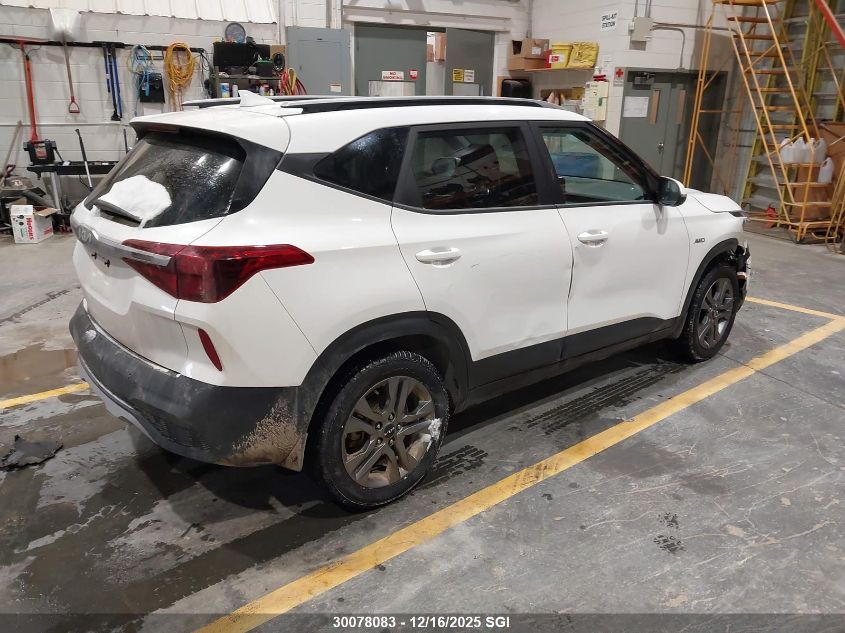 2023 Kia Seltos Lx VIN: KNDEPCAA2P7462135 Lot: 30078083