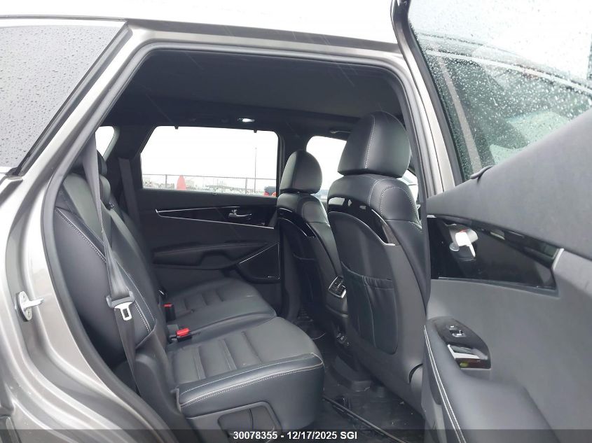 2019 Kia Sorento Sx/Sxl VIN: 5XYPKDA51KG504600 Lot: 30078355