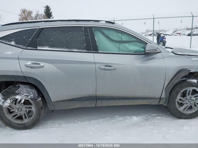 2025 Hyundai Tucson Sel VIN: KM8JBCDE8SU439170 Lot: 30077604