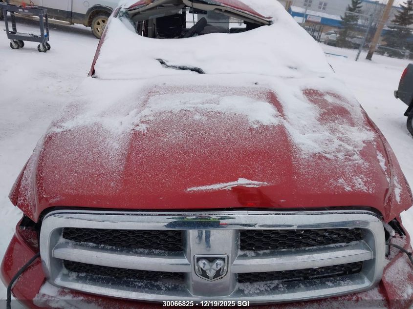 2009 Dodge Ram 1500 VIN: 1D3HV13T89S824434 Lot: 30066825