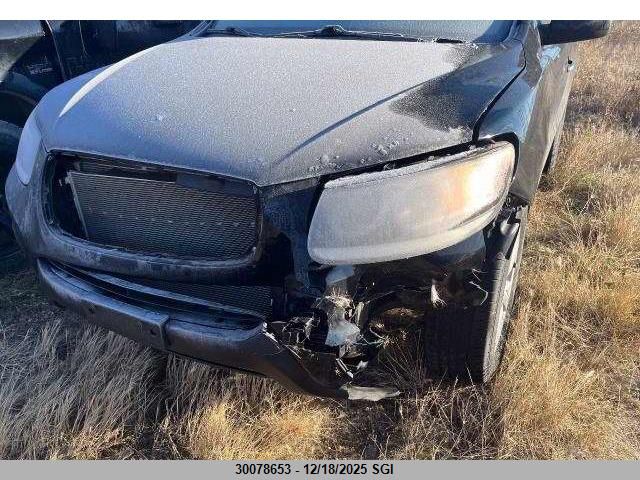 2012 Hyundai Santa Fe Se VIN: 5XYZHDAG8CG125104 Lot: 30078653