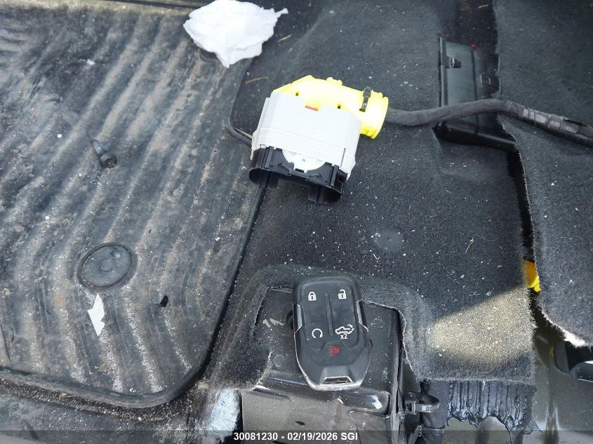 2020 Chevrolet Silverado K2500 Heavy Duty Ltz VIN: 1GC4YPE72LF208908 Lot: 30081230