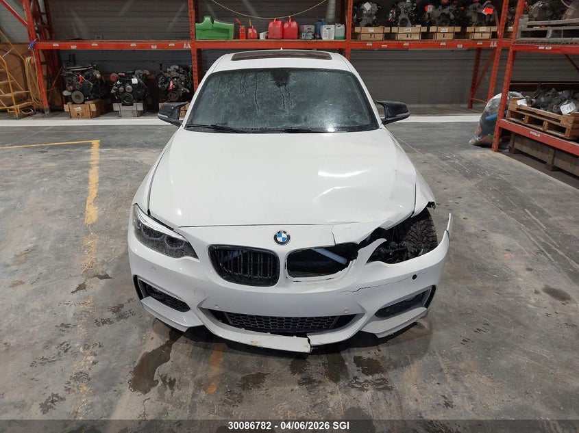 2018 BMW 230Xi VIN: WBA2J3C51JVD48876 Lot: 30086782