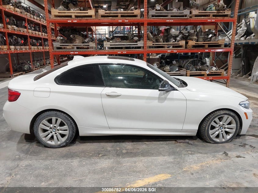 2018 BMW 230Xi VIN: WBA2J3C51JVD48876 Lot: 30086782