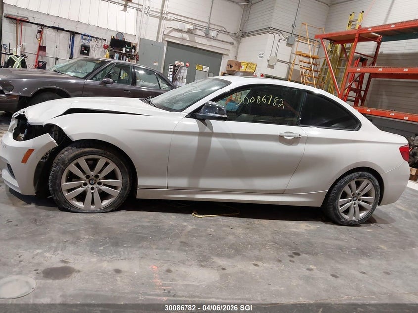 2018 BMW 230Xi VIN: WBA2J3C51JVD48876 Lot: 30086782