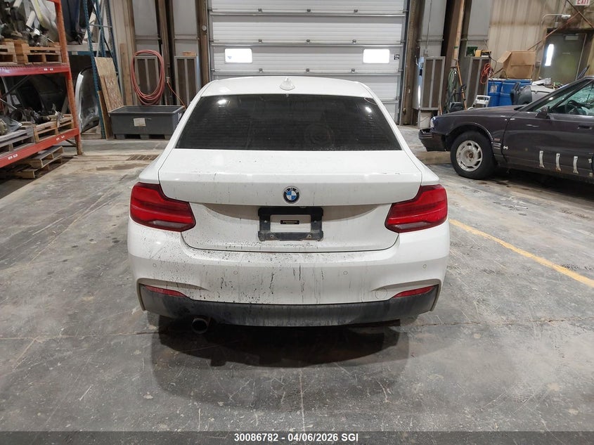 2018 BMW 230Xi VIN: WBA2J3C51JVD48876 Lot: 30086782