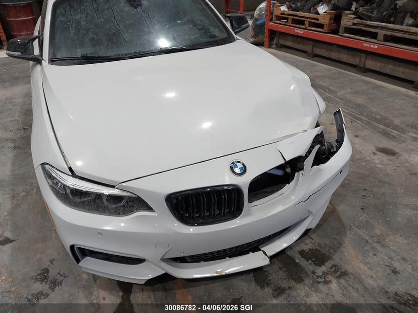 2018 BMW 230Xi VIN: WBA2J3C51JVD48876 Lot: 30086782