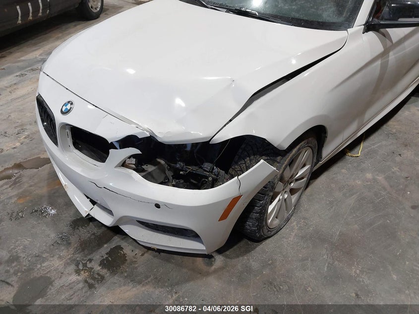 2018 BMW 230Xi VIN: WBA2J3C51JVD48876 Lot: 30086782