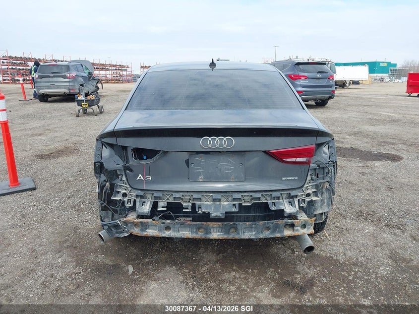 2019 Audi A3 Premium VIN: WAUBEGFFXK1027845 Lot: 30087367