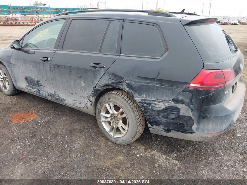 2015 Volkswagen Golf Sportwagen S/Se/Sel VIN: 3VWC17AU6FM502647 Lot: 30087680