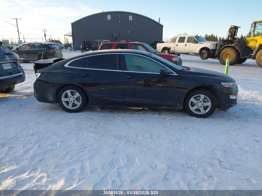 2024 Chevrolet Malibu Ls VIN: 1G1ZB5ST6RF241389 Lot: 30081638