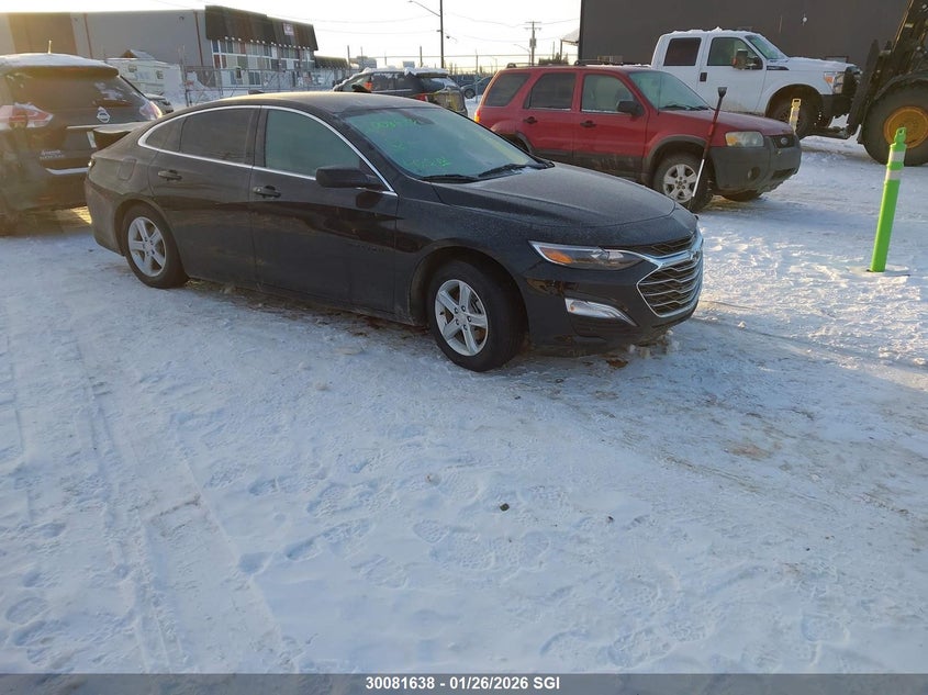 2024 Chevrolet Malibu Ls