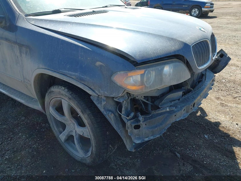 2006 BMW X5 3.0I VIN: 5UXFA13526LY43689 Lot: 30087788