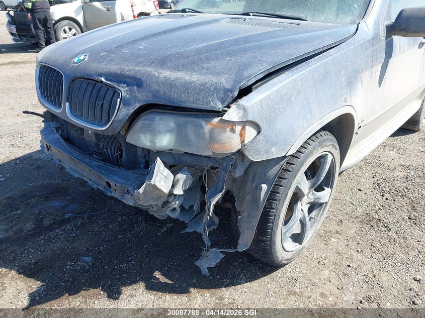 2006 BMW X5 3.0I VIN: 5UXFA13526LY43689 Lot: 30087788