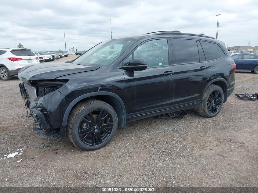 2021 Honda Pilot Elite VIN: 5FNYF6H01MB505089 Lot: 30091333