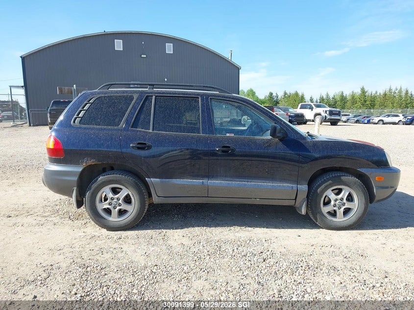 2003 Hyundai Santa Fe VIN: KM8SB73D73U564036 Lot: 30091399