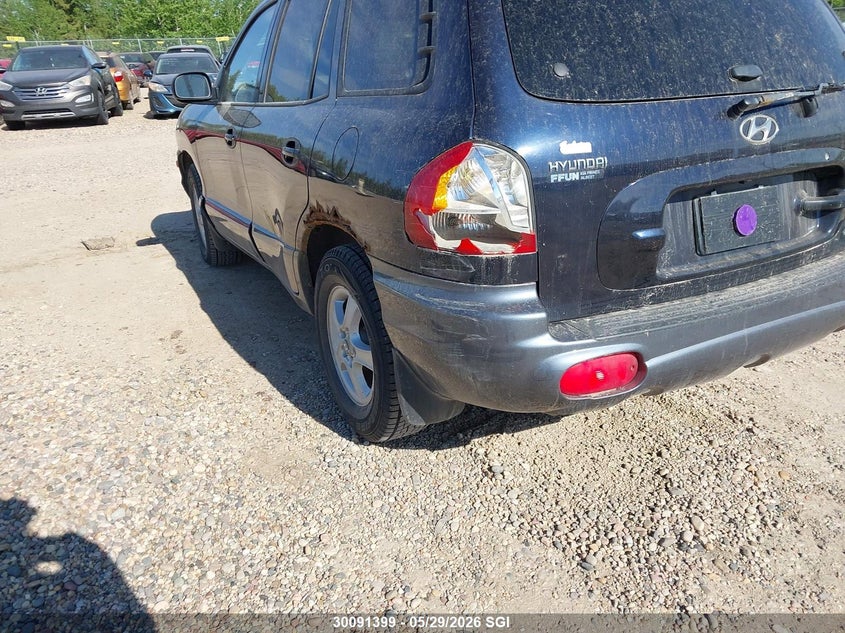 2003 Hyundai Santa Fe VIN: KM8SB73D73U564036 Lot: 30091399