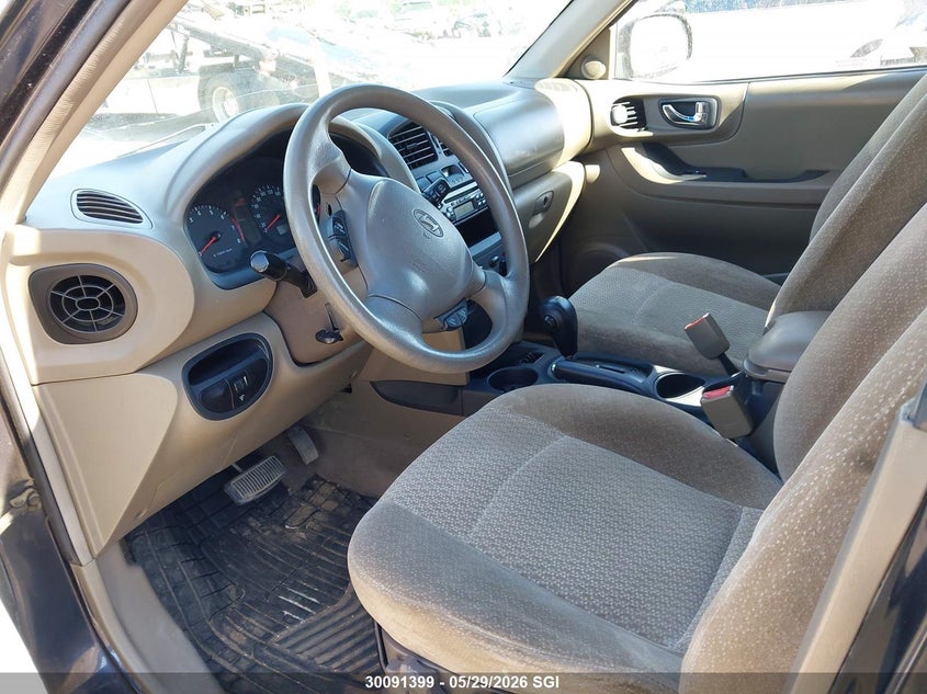 2003 Hyundai Santa Fe VIN: KM8SB73D73U564036 Lot: 30091399