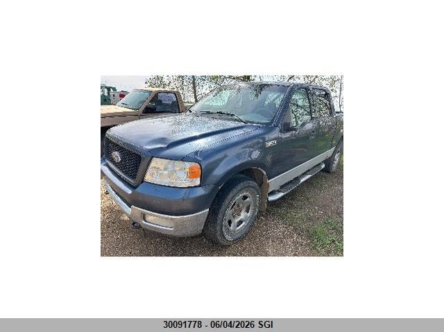 2004 Ford F150 Supercrew VIN: 1FTPW14534FA21114 Lot: 30091778