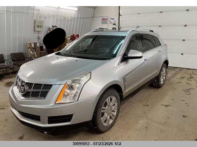 2010 Cadillac SRX, Rear, IAAI, VIN 3GYFNDEY8AS623744 — photo 2