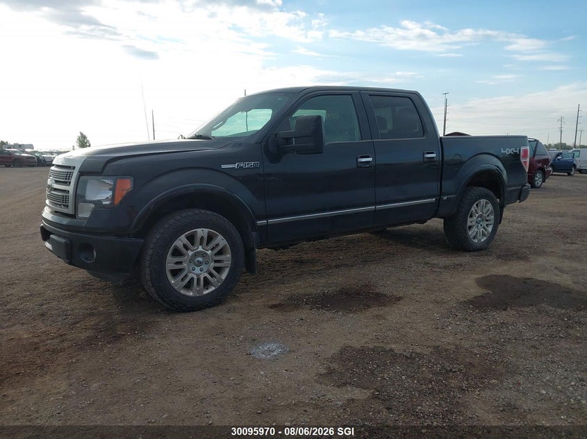 2012 Ford F-150, Hail, IAAI, VIN 1FTFW1E63CFA49433 — photo 2