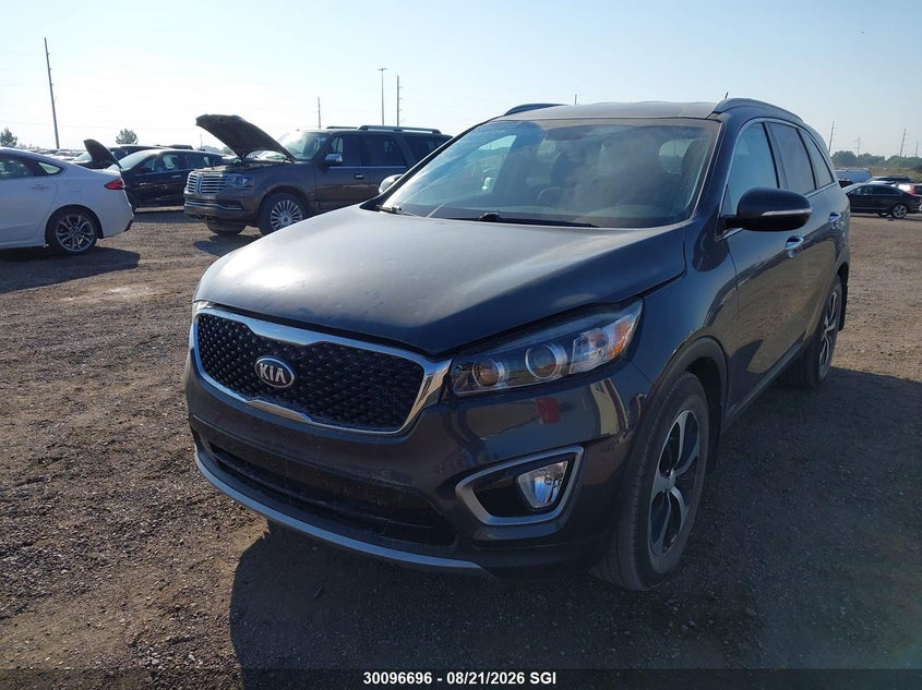 2016 Kia Sorento, Hail, IAAI, VIN 5XYPHDA16GG137289 — photo 2