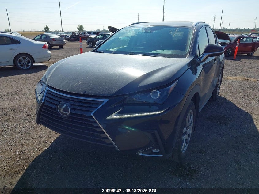 2021 Lexus NX, Hail, IAAI, VIN JTJGARDZ1M5030221 — photo 2