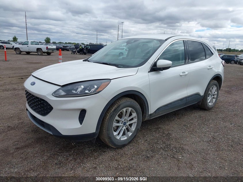 2020 Ford Escape, Hail, IAAI, VIN 1FMCU9G69LUC00772 — photo 2