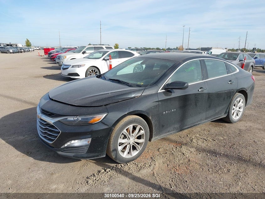 2021 Chevrolet Malibu Lt, Удар сзади, IAAI, VIN 1G1ZD5ST8MF033324 — фото 2