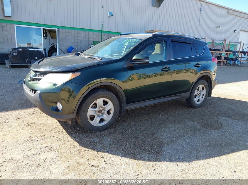 2013 Toyota RAV 4, Удар ззаду, IAAI, VIN 2T3RFREV8DW053836 — фото 2