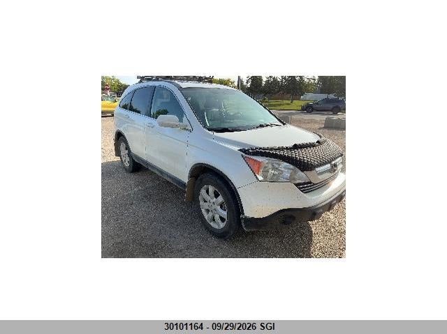 2007 Honda Cr-V Exl, Hail, IAAI, VIN JHLRE48747C095644