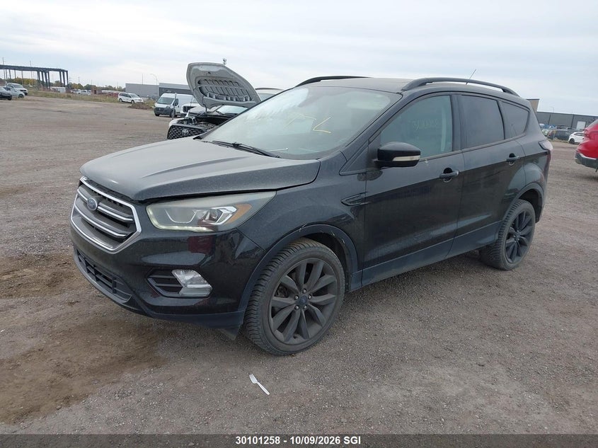 2017 Ford Escape Titanium, Hail, IAAI, VIN 1FMCU9J92HUE50462 — photo 2