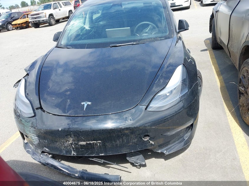 LRW3E1EB1PC923477 2023 TESLA MODEL 3 photo no. 11