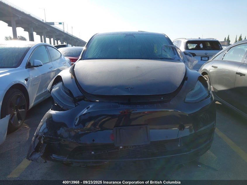 2022 Tesla Model Y VIN: 7SAYGDEE0NF312339 Lot: 40013968