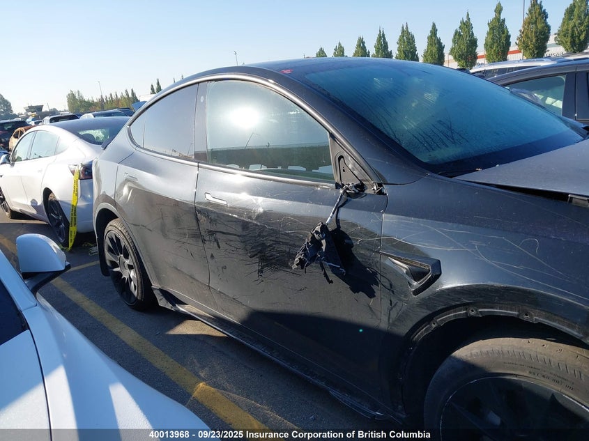 2022 Tesla Model Y VIN: 7SAYGDEE0NF312339 Lot: 40013968