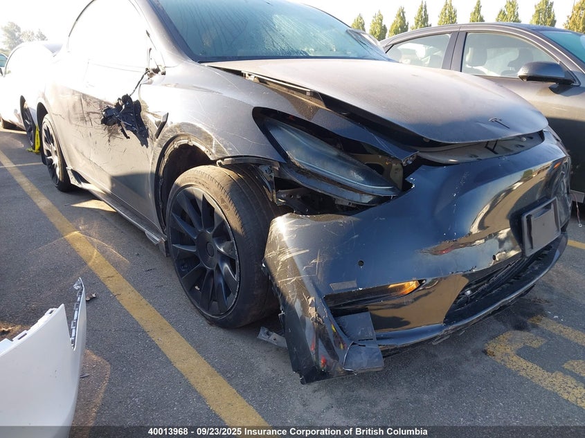 2022 Tesla Model Y VIN: 7SAYGDEE0NF312339 Lot: 40013968